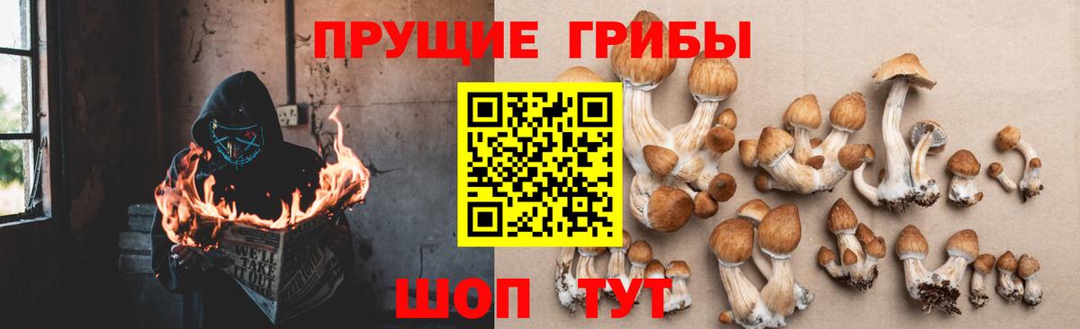 Спасск-Дальний  Вход с VPN  Меф МЯУ МЯУ кристаллы  Бошки Шишки  Кокаин  Мефедрон  ГАШ 